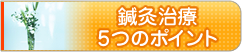 鍼灸治療5つのポイント