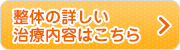 整体の詳しい治療内容はこちら